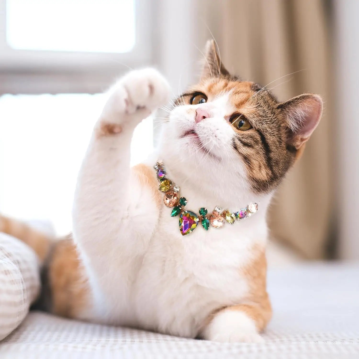 Cadena Dorada Elegance